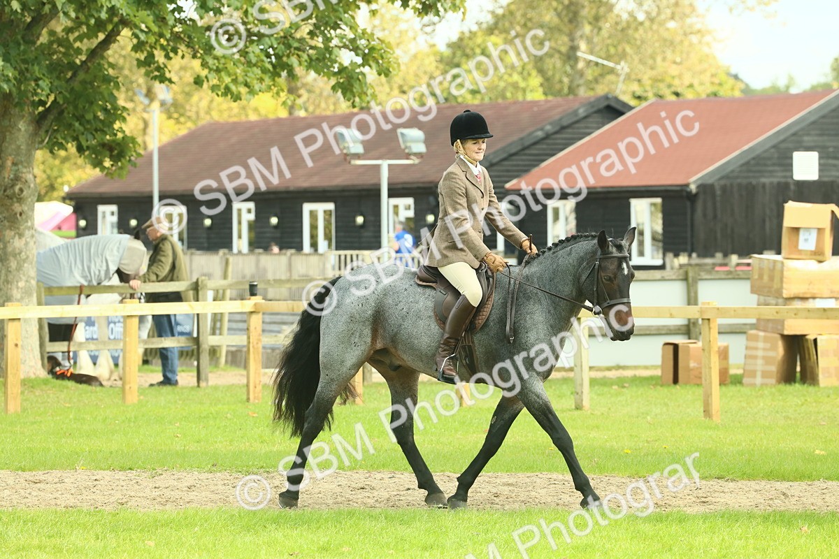 SBM_62610 - S63 - Other Coloured Horse Ridden