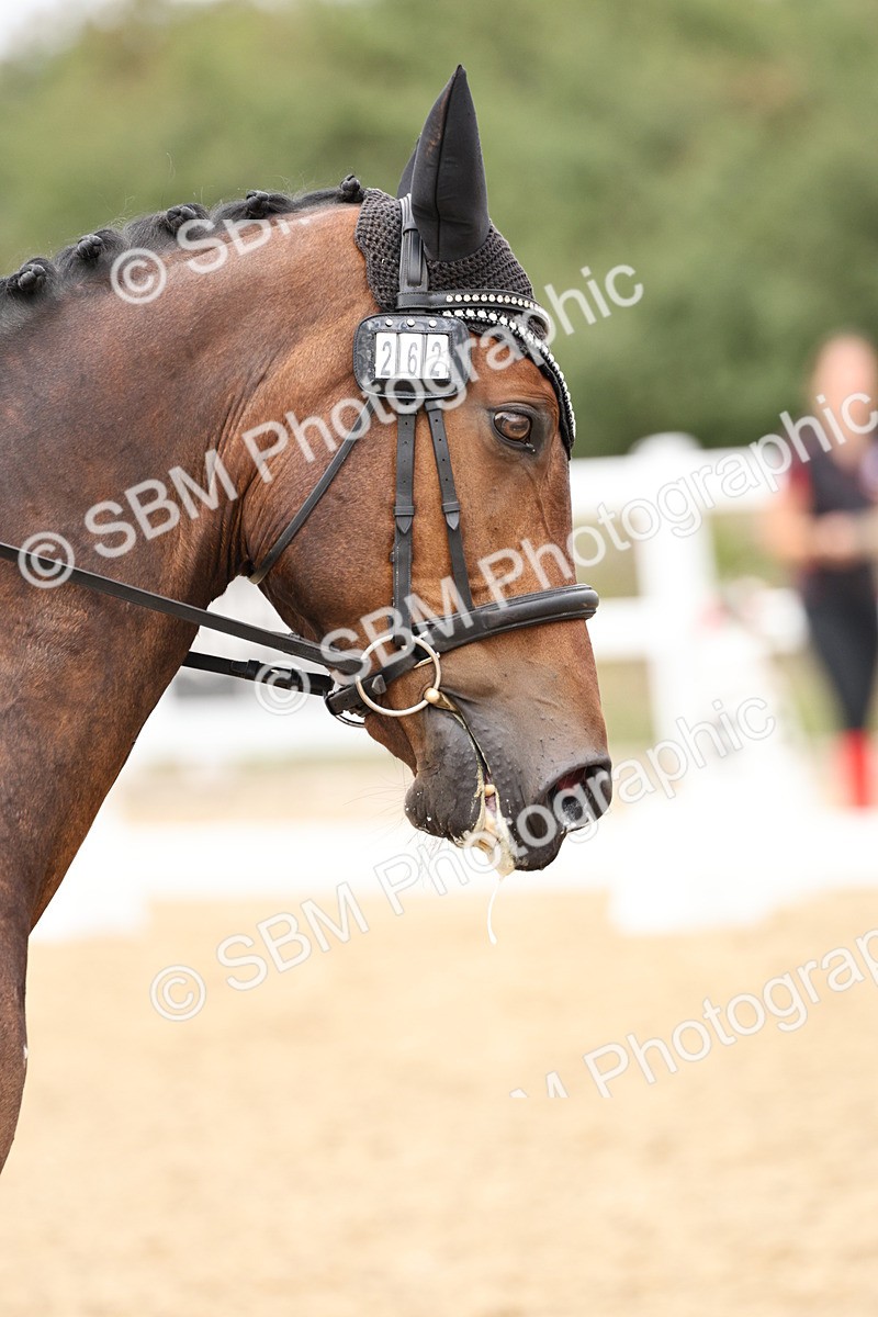 SBM_019635 - Class 18 - Elementary 5