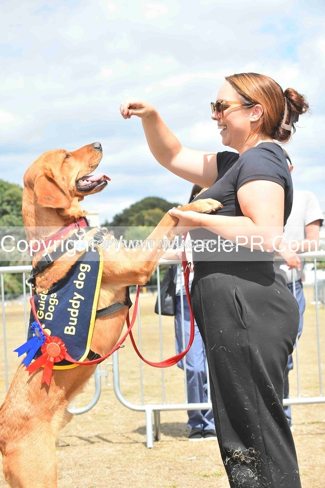 SH4_0251 - Dog show.