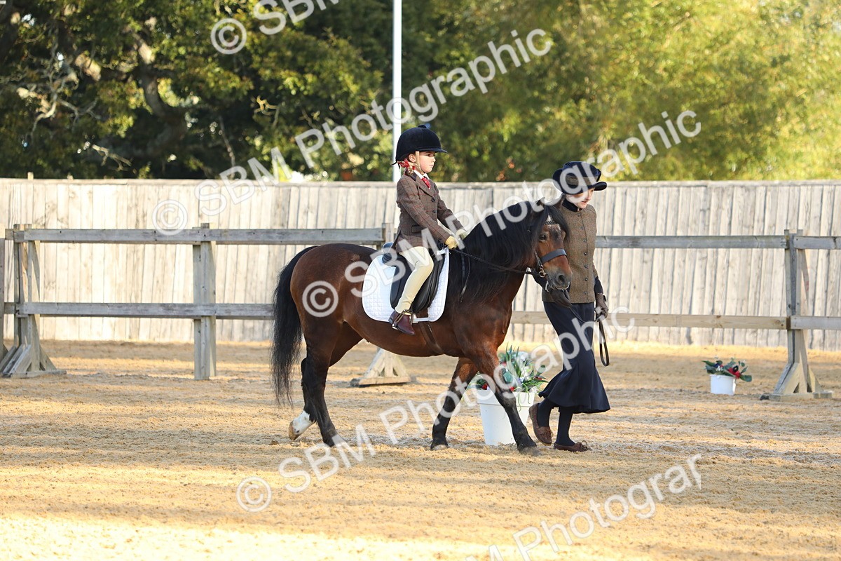 SBM_33667 - D26 - Starers - Lead Rein