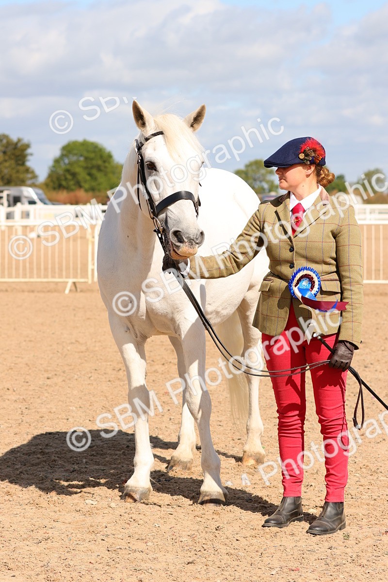 SBM_12002 - Class 209 - IH Veteran Pony