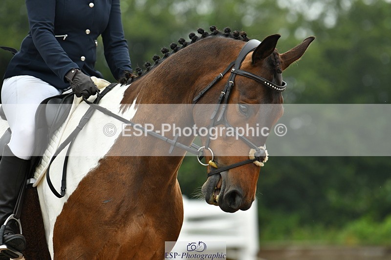 230708A-143334-03470 - Prelim 14