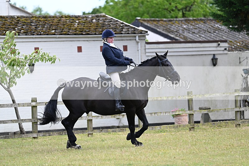 WJ7_9534 - Class 8 Ridden Veterans