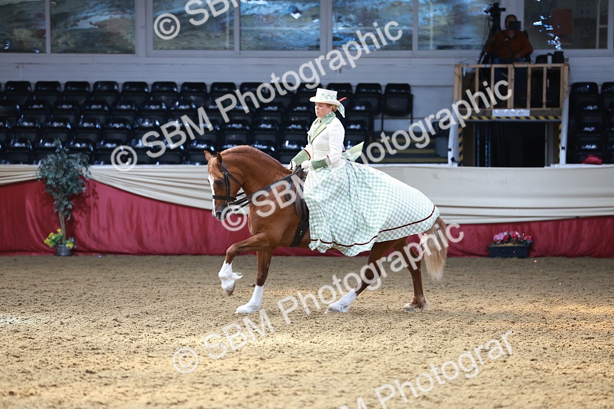 SBM_13709 - Class 106 - Ridden Costume -Astride Adult (15-19)