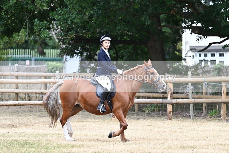 WJ7_0522 - Class 2 Best rider