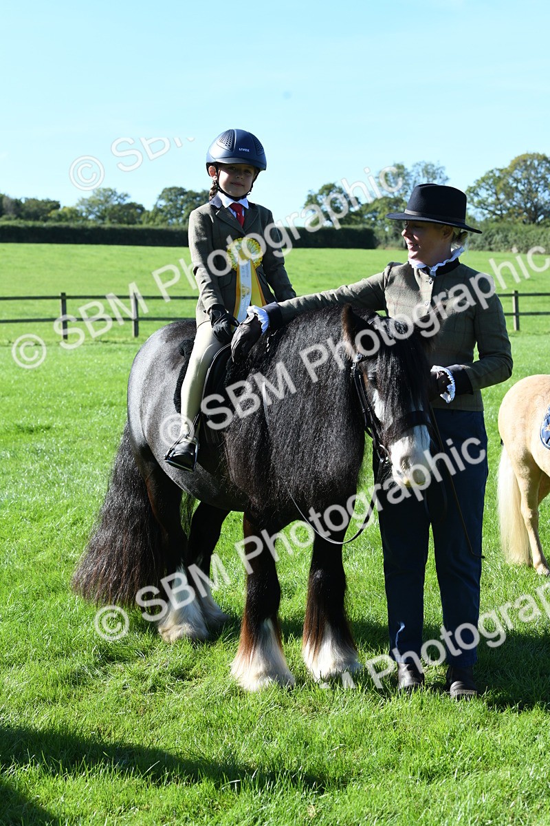 SBM_37084 - S18 - Novice & Newcomers Lead Rein Pony