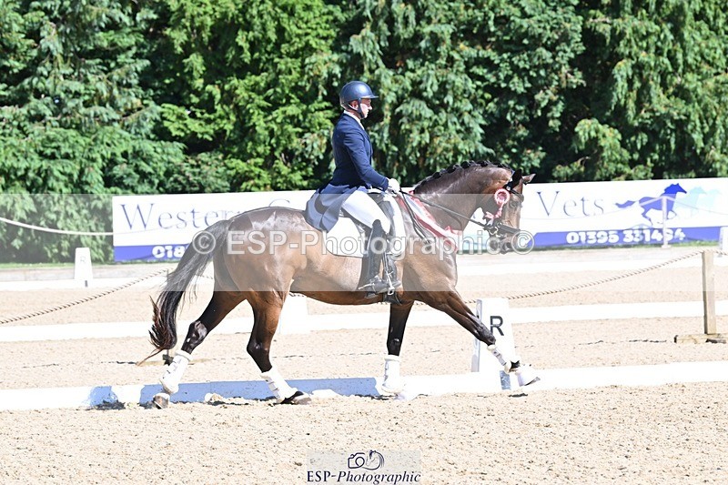 240811-154555-06869 - Inter I Silver