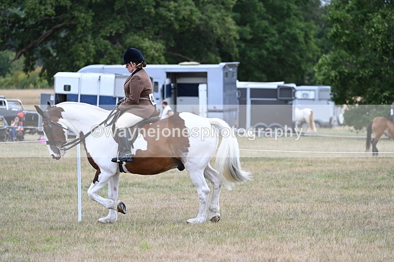 WJ7_4950 - Class 12 Ridden Cob