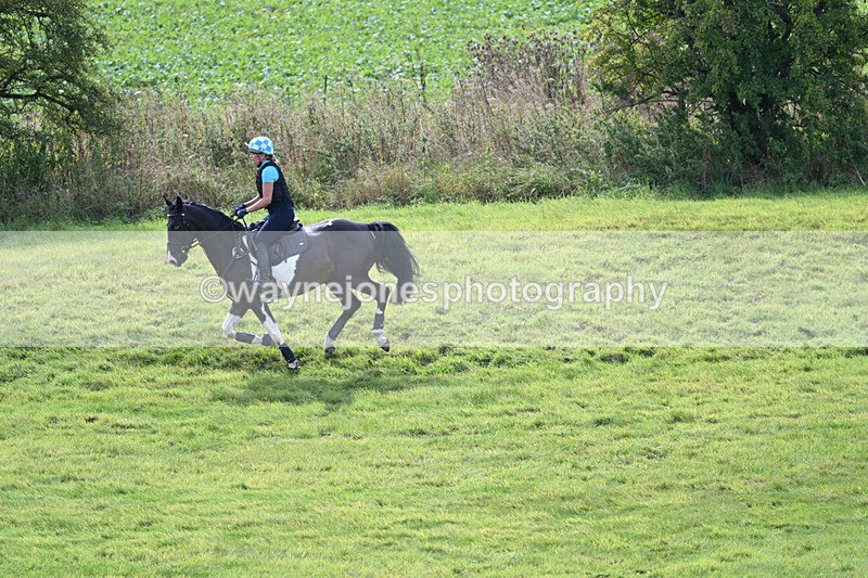 WJ7_7206 - Time 13:00 to 13:12