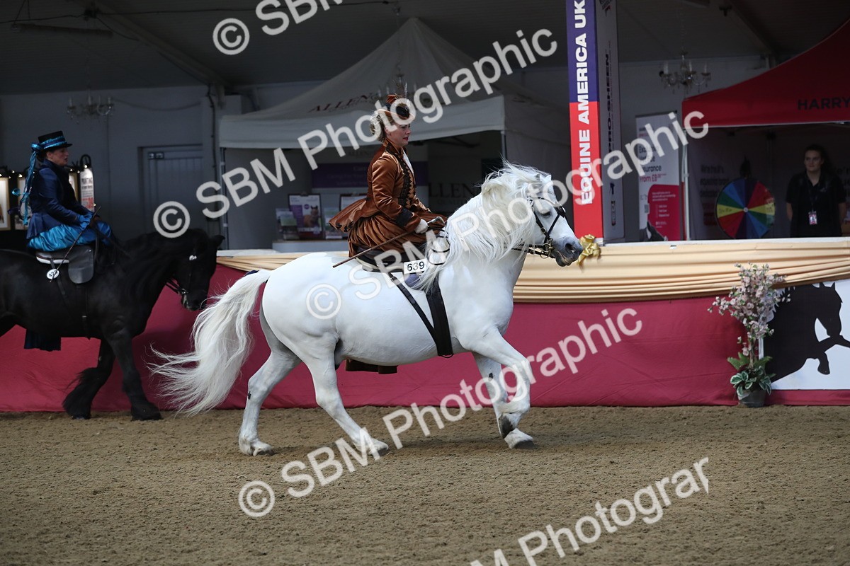 SBM_11561 - Class 105 Ridden Costume- Side Saddle