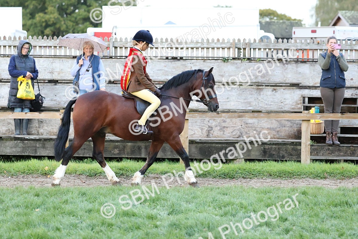 SBM_53402 - Super Supreme Championship (Sat)