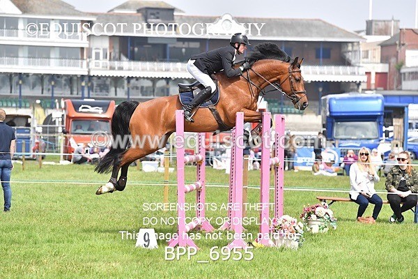 BPP_6955 - CLASS 3 RHS Fox Champ Qual (1.20m)