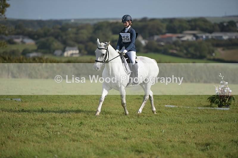 RAY_7653 - Class 2B: Trekenning Open: Dressage