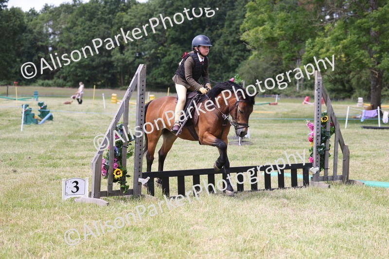 20260614-1816 - Class 21 - Novice Working Hunter Pony