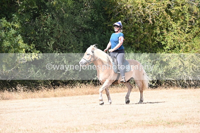 WJ6_9232 - Time 12:51 to 12:55