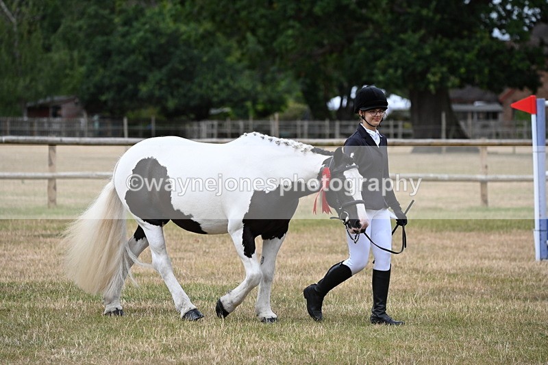 WJ6_4541 - Class 10 Coloured In-hand