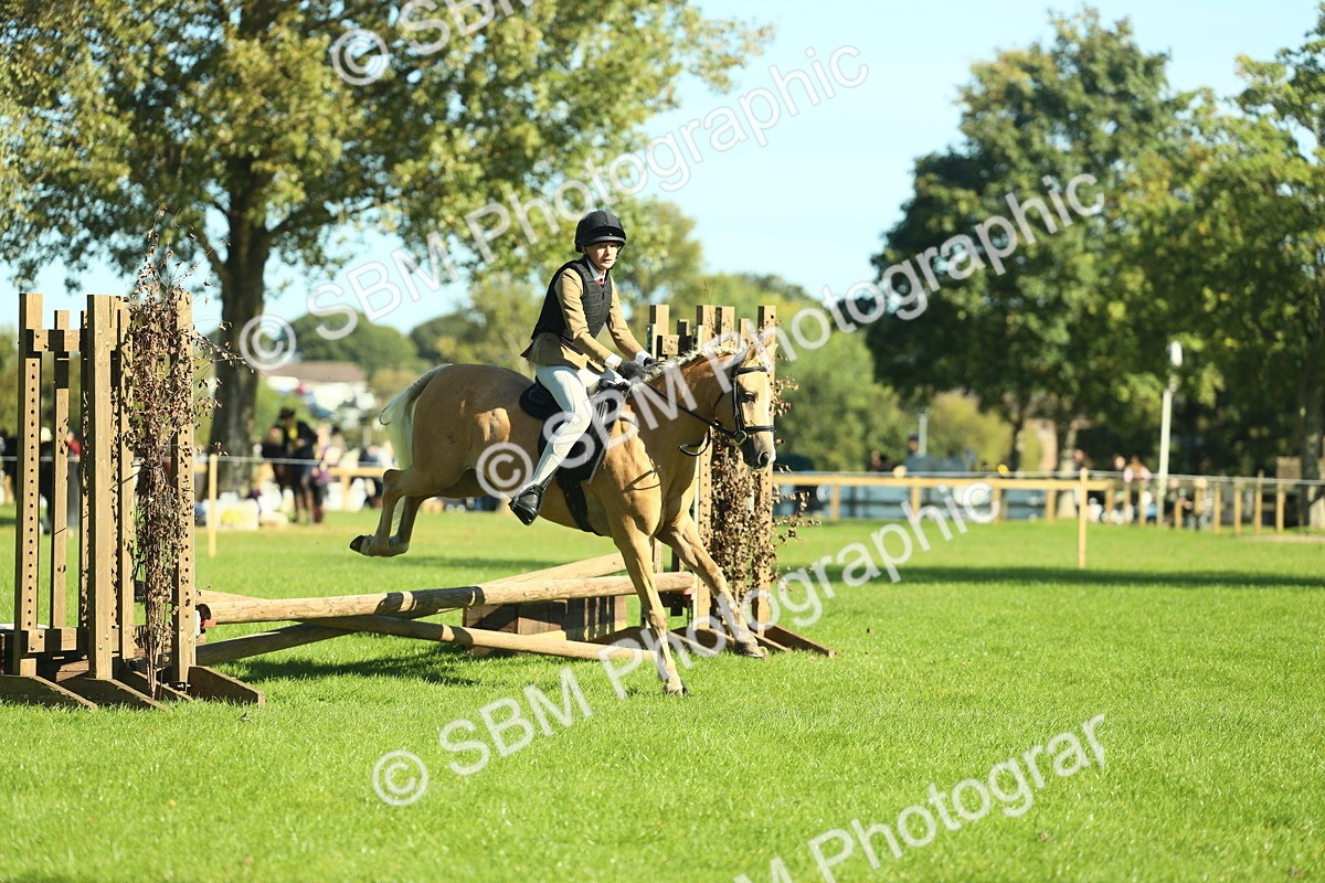 SBM_37474 - S29 - Novice & Newcomers Working Hunter Pony