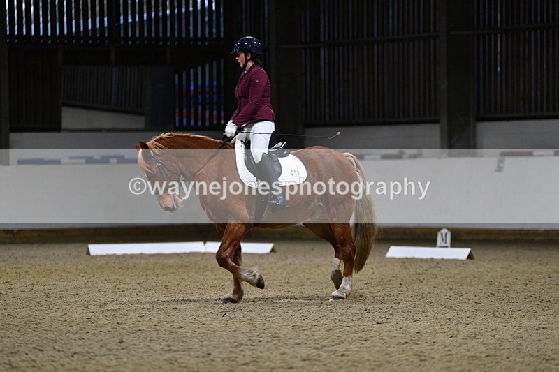 WJ5_8616 - Class 5 Novice Test 3