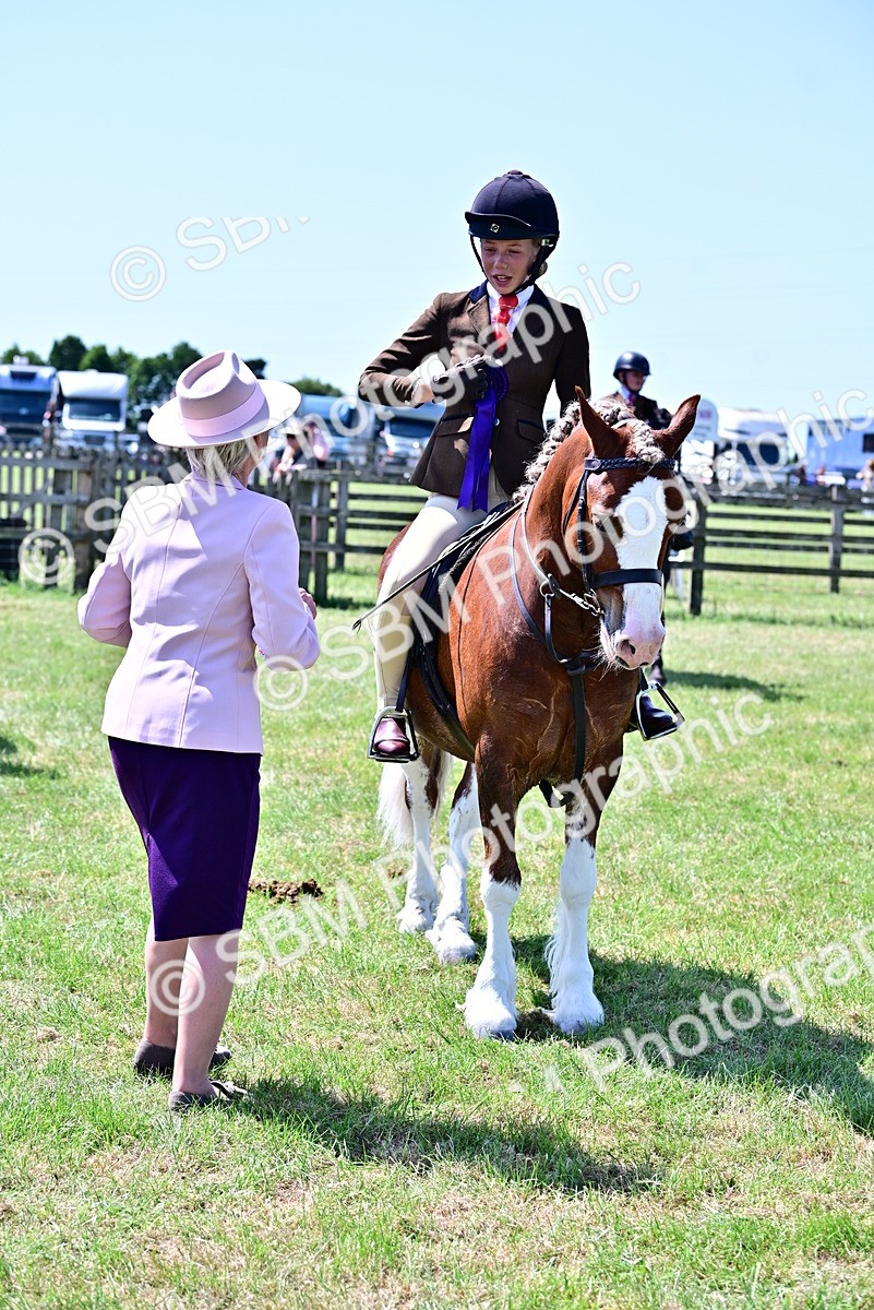 SBM_15430 - Class 95-97 - BSPS LHS Performance Ponies