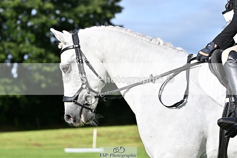 230826-090145-15895 - Sections A & B - 9 to 10am