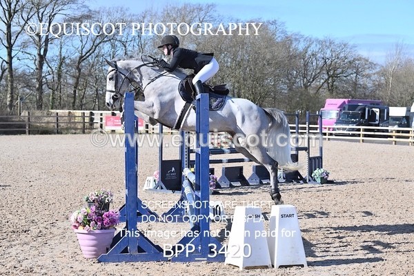 BPP_3420 - CLASS 4 Senior British Novice/ 90cm Open