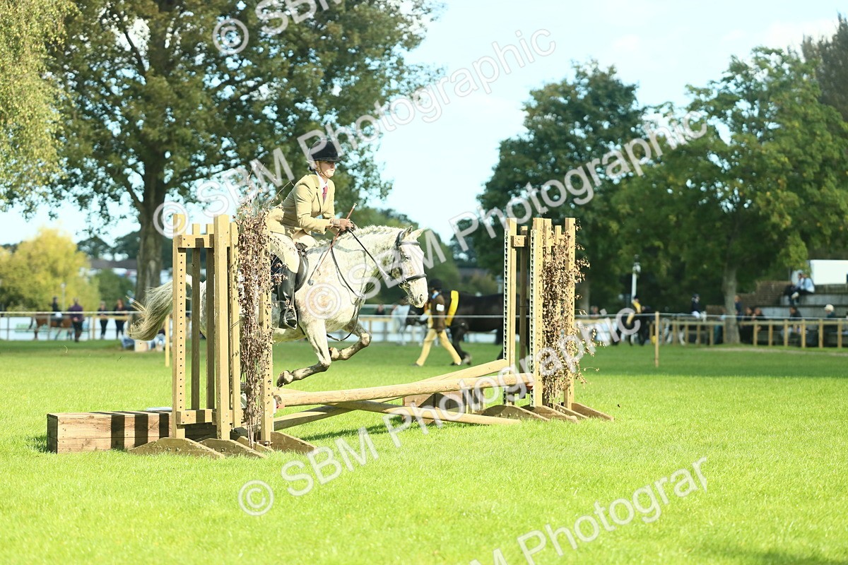 SBM_39242 - S29 - Novice & Newcomers Working Hunter Pony