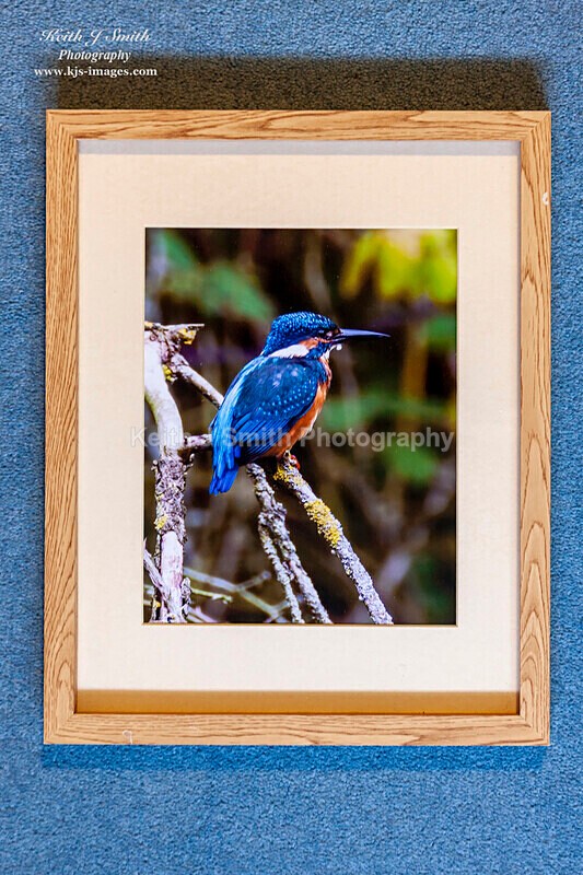 0SKJ9324 - Mounted prints for sale.