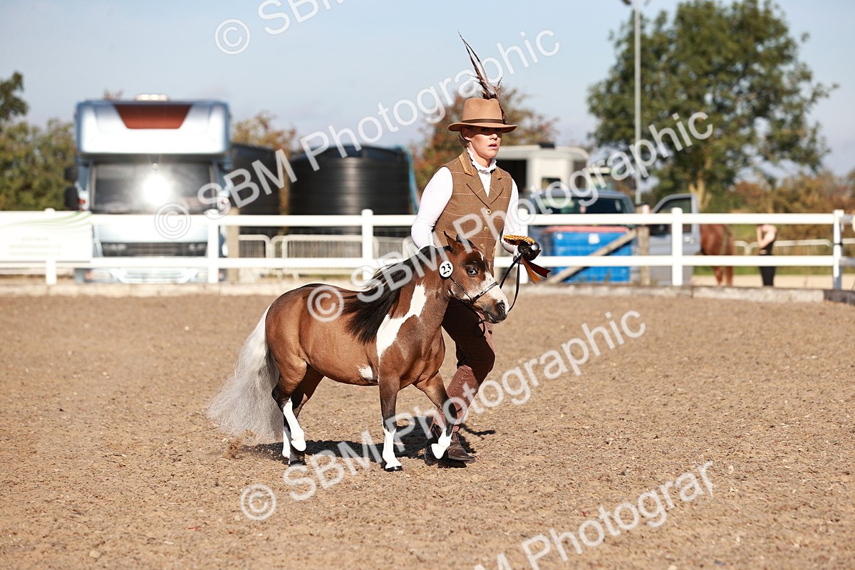 SBM_11479 - Class 402 - IH  Veteran pony