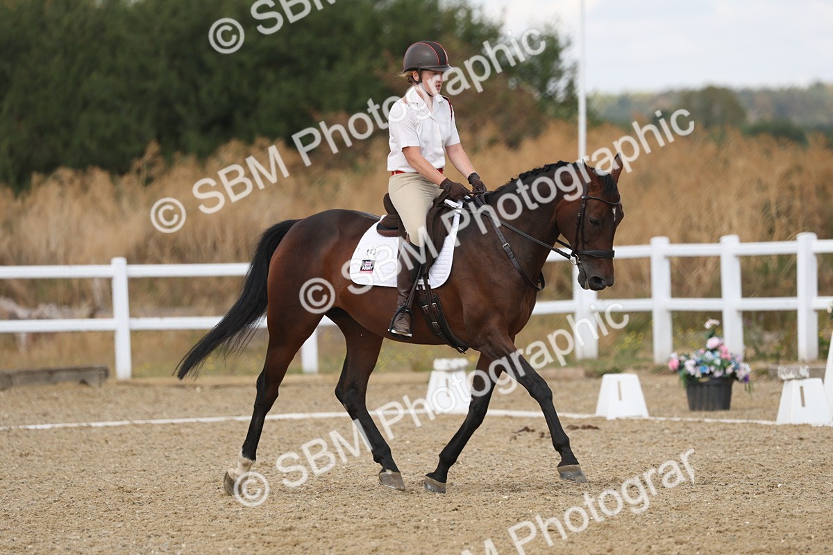 SBM_009064