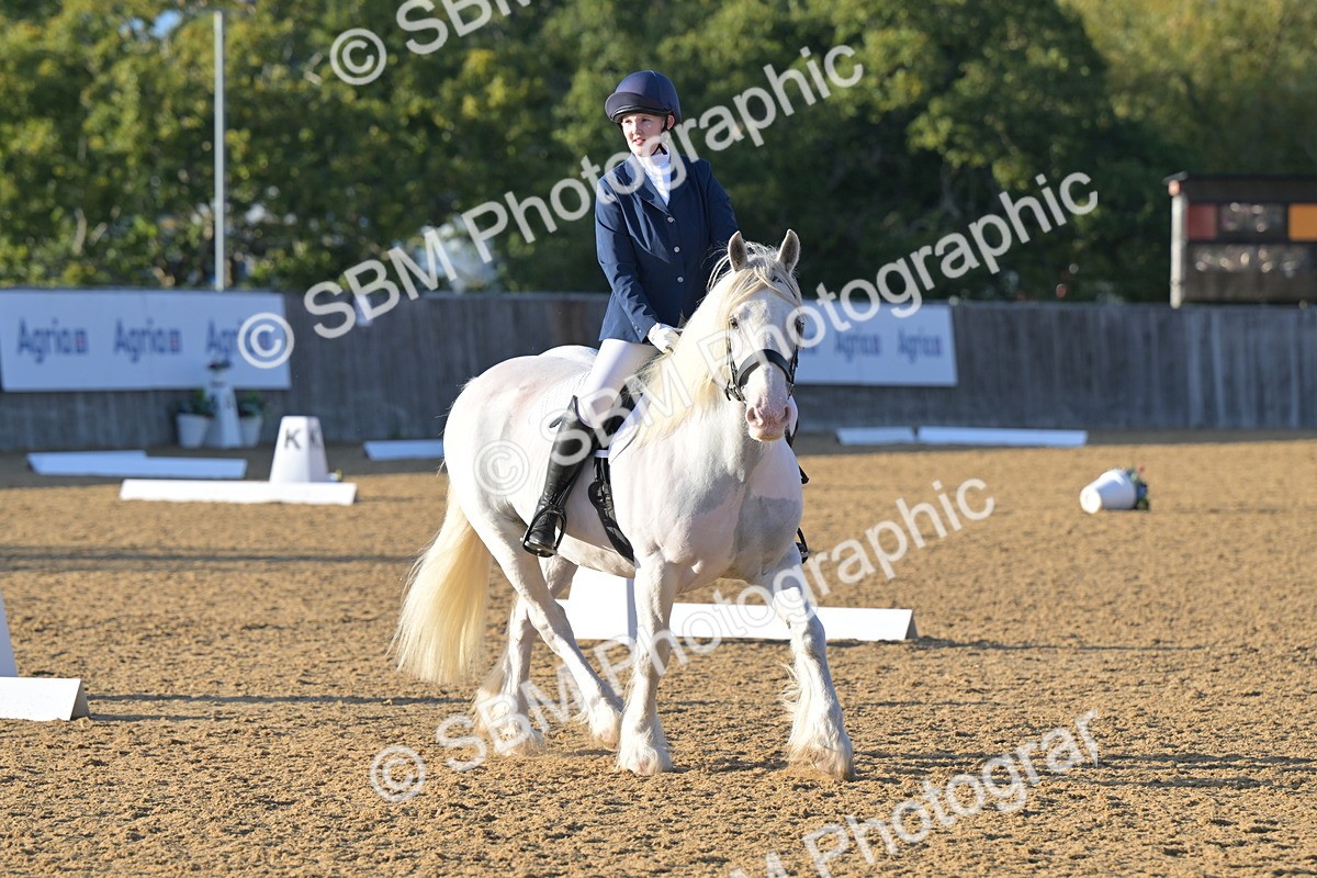 SBM_13175 - D3 - Small Tour Championship Intro 3