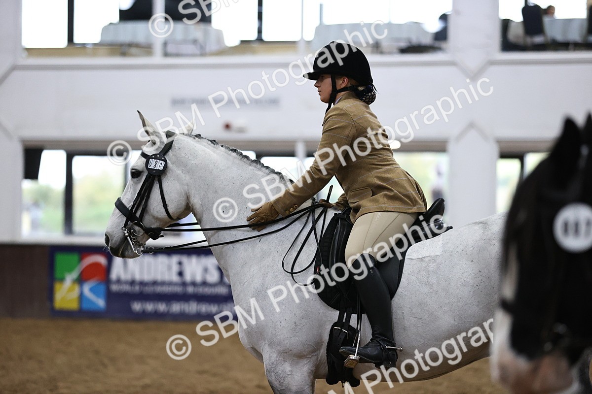 SBM_6367 - Class 45-42 - Ridden Irish Breeds-Ridden Cob