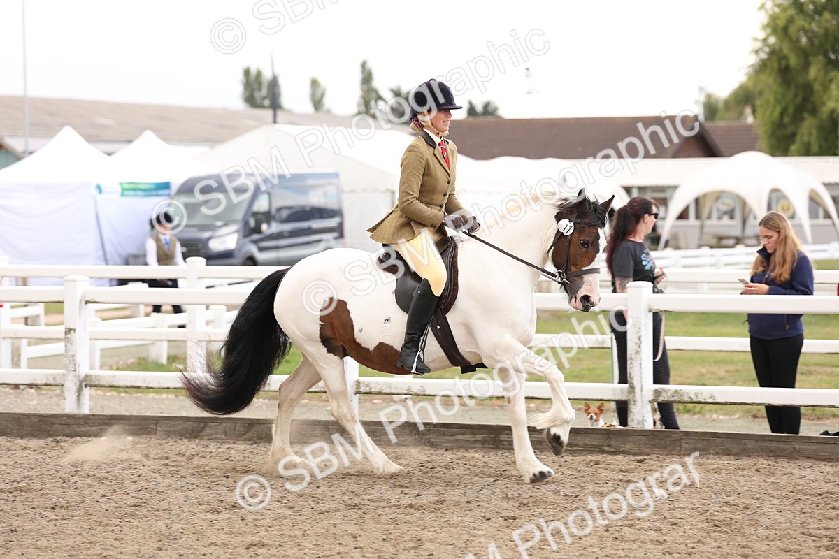 SBM_04198 - Class 54 - Riding Club Horse/Pony