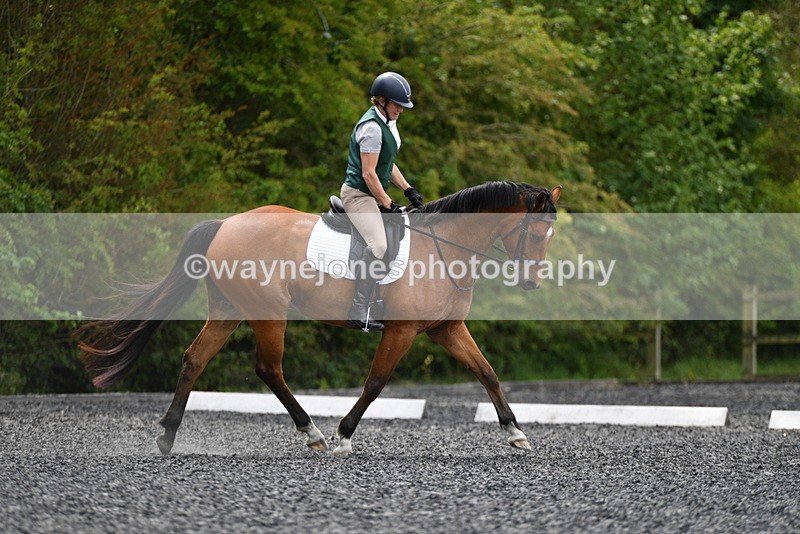 WJ5_0185 - Time 11:47 to 12:21