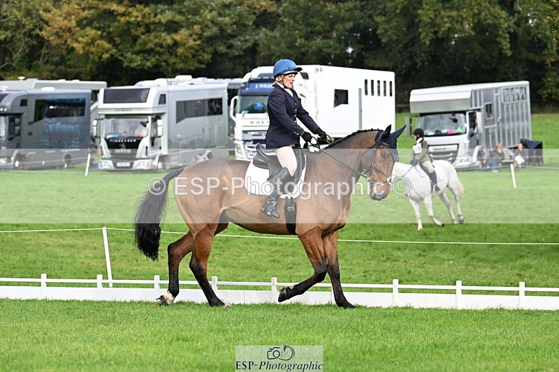 251023A-113526-03616 - G-514-Carolyn.Price With Trot Up