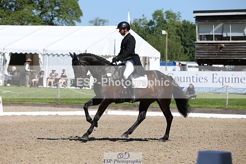 230526-103518-05287 - 362-SPIRIT'S_GEMINI-Harry_Dzenis-WEDTrotUp+DR