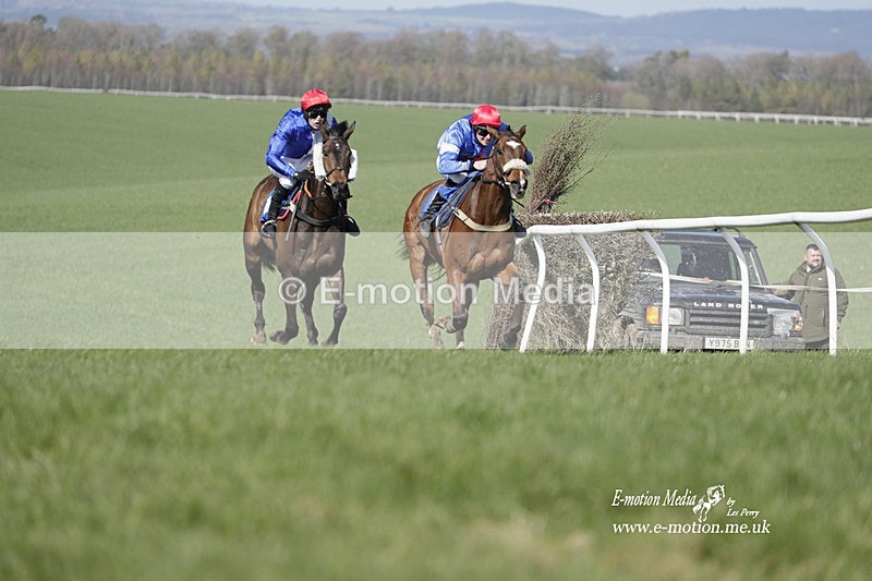 PtP 100423 779 - Old Berkshire Point-to-Point Lockinge 10/04/23