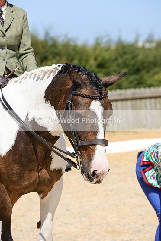 1X9A8276 - Class 12: Coloured Ridden