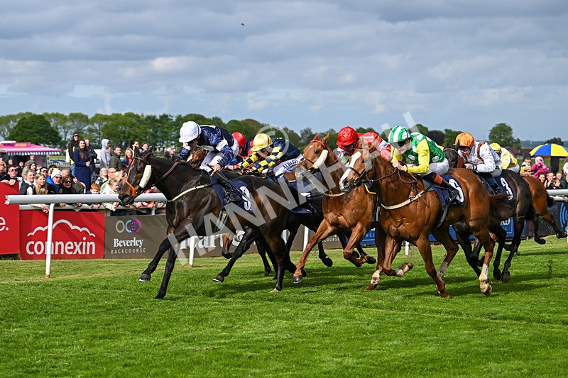 050525-Race 5-Hover On The Wind-4968 - Race 5