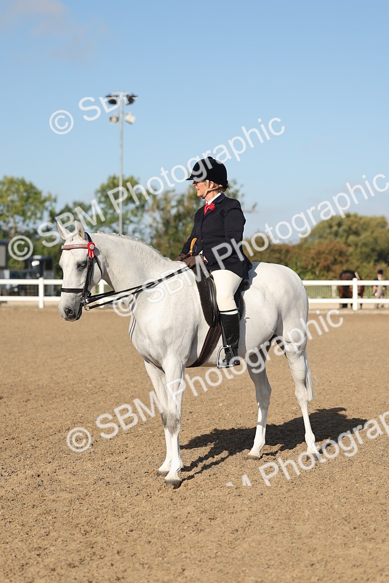 SBM_22152 - Class 801 - Ridden Veterans