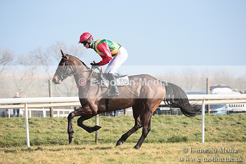 PtP 230219 32 - Vine & Craven Point-To-Point - Barbury 23/02/19