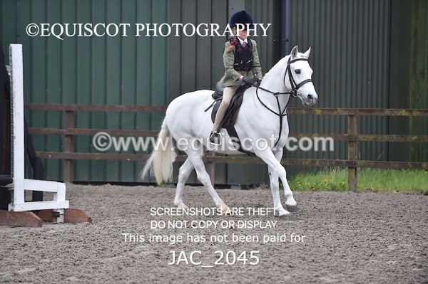 JAC_2045 - CLASS 1 Nursery Novice Working Hunter