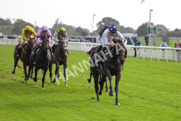 yr07102022r4-41 - Race 4 3.50pm William Hill Best Odds Guaranteed Stakes