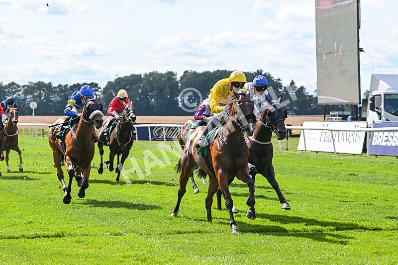 020825-Race 4-Moulin Booj-3126 - Race 4