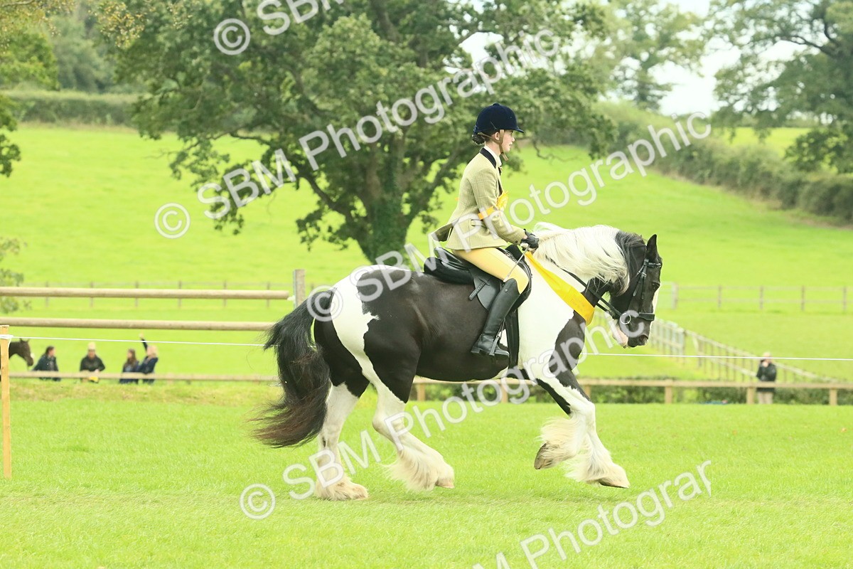 SBM_75026 - Ridden Pony Supreme Championship