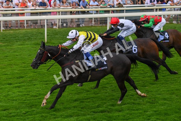 100923-Race 5-Commanche Falls-0892 - Race 5 3.50pm BetGoodwin Garrowby Stakes