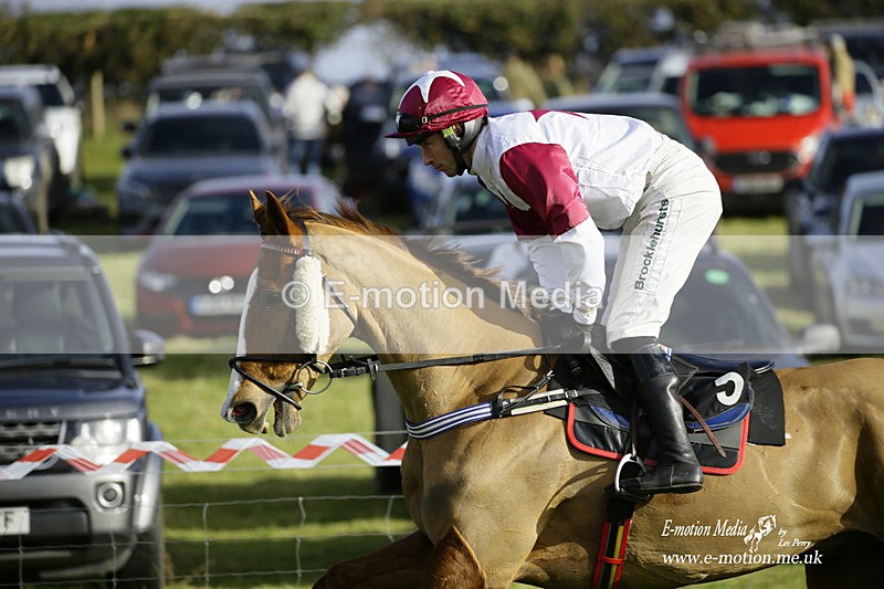 PtP 300122 320 - South Dorset Hunt - Point-to-Point Races 30/01/2022