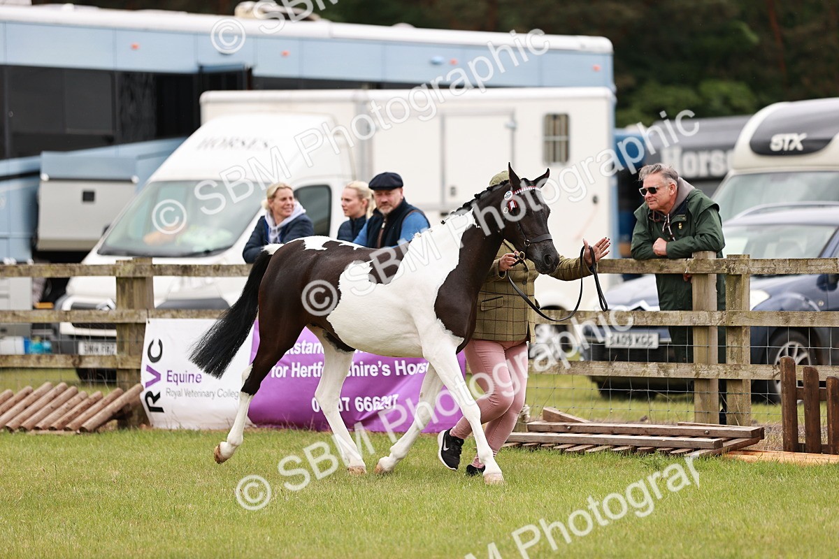 SBM_04511 - Class 5-8 - BSPA In hand
