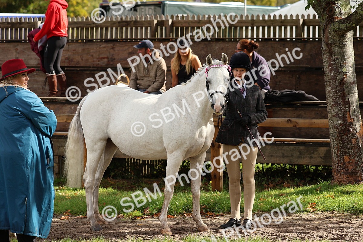 SBM_39422 - S24 - Young Veteran In Hand