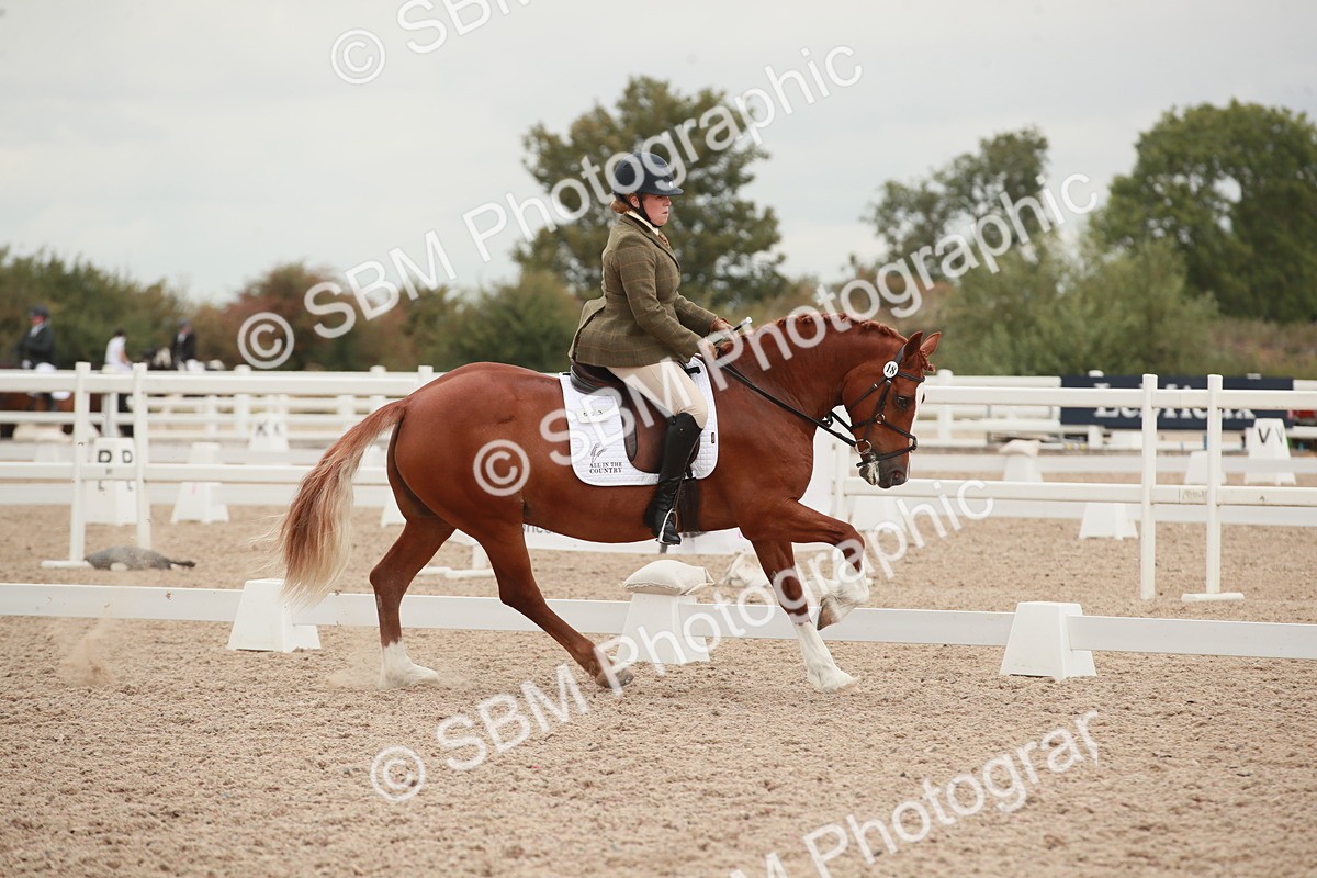 SBM_06099 - Class 33 - Elementary 1