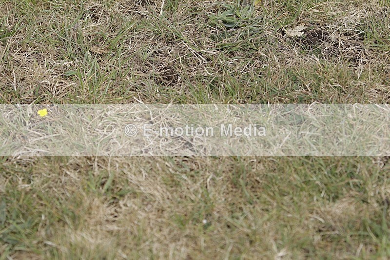 BVHT 140517 I-533 - Class 1 SJ Intermediate 14/05/17